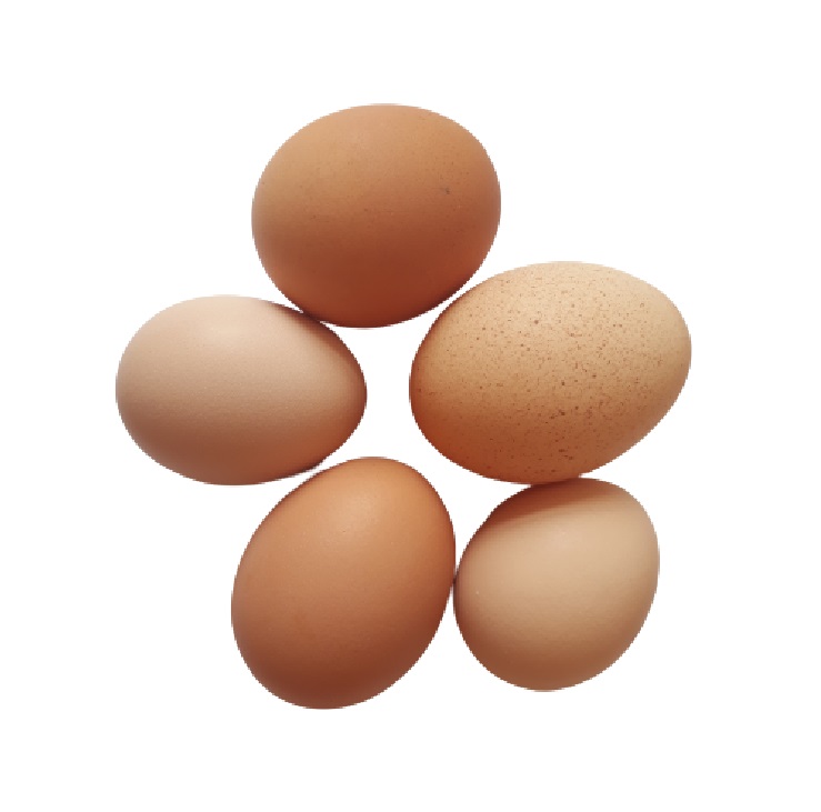 картинка Куриные яйца (10 шт.)